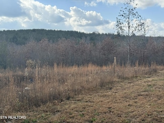 0 6 25 Acres Valerie Dr, Deer Lodge, TN 37726