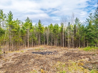 3 Forest Dr, Bethel, ME 04217