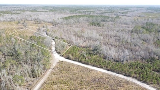 0 SE Brushy Hammock Rd Unit 794226, Mayo, FL 32066