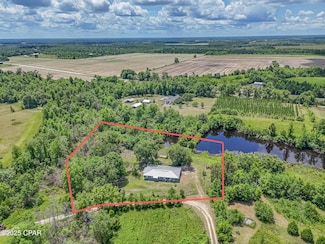 25966 George Maloy Ln, Altha, FL 32421