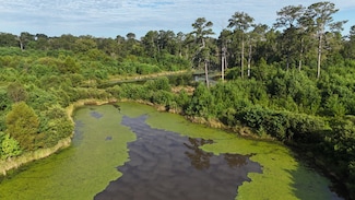 0 Brantley Hwy, Brantley, AL 36009