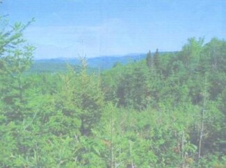 5-2 Slim Haggle Rd, Upper Enchanted Township, ME 04945