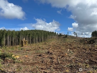 0 Lot 2 August Rd, Onalaska, WA 98532