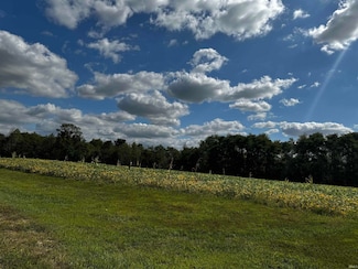 0 Fox Ridge Rd, Marrs Township, IN 47712
