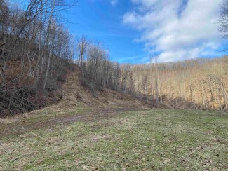 TBD Dumpling Run Rd, Burnsville, WV 26335