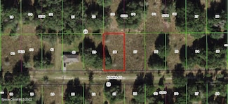 2218 Adams St, Inverness, FL 34453