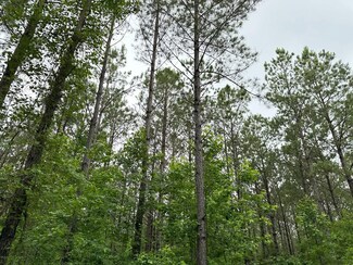Bethlehem Rd, Equality, AL 36026