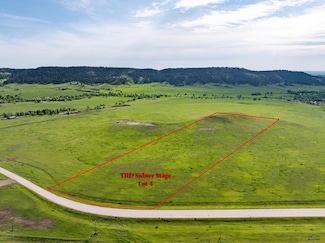 Lot 4 Sidney Stage Rd, Piedmont, SD 57769