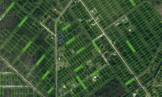 543 Hallmark Ave, Lake Placid, FL 33852