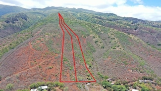 0 Wailau Valley Rd Unit Lots 3 and 4 406479, Kaunakakai, HI 96748