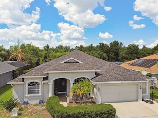 2117 Larkspur Ct, Trinity, FL 34655