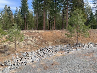 119 Smith Peak Dr, Portola, CA 96122