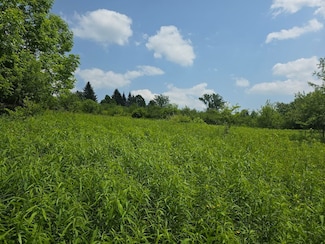 Town Line Rd Unit LotWP001, McGraw, NY 13101