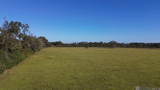 Tract 1-A Old U S 51, Montpelier, LA 70422