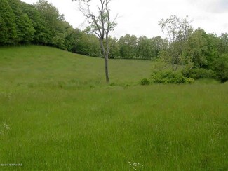 TBD Double Springs Rd, Check, VA 24072