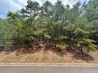 222 Glenmere Ct, Hot Springs, AR 71913