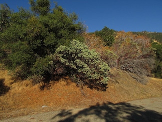 2 Old Oaks Ct, North Fork, CA 93643