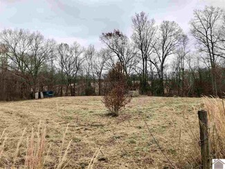 1456 McElrath Rd, Dexter, KY 42036