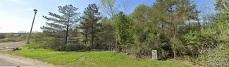9525 Hegel Parcel B Rd, Goodrich Vlg, MI 48438