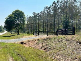 0 Dewey Thomas Rd Unit 20382552, Dexter, GA 31019