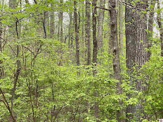0 La Vista Ln Unit 3 Lots, Murray, KY 42071