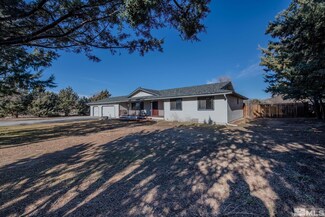 1374 Sanden Ln, Minden, NV 89423