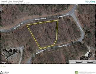 0 Purple Finch Way Unit 1556438, Marietta, SC 29661