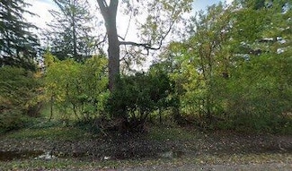 1295 Forest Ln, Bloomfield Hills, MI 48301