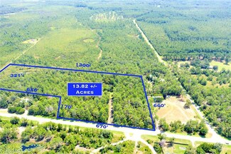 21357 NE Highway 315, Fort Mc Coy, FL 32134