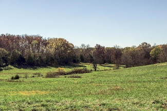 Tract 2 E 425th Rd, Fair Play, MO 65649