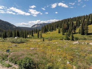 TBD 10th St, Crested Butte, CO 81224