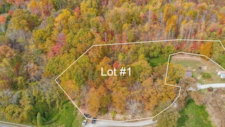 Tbd Majestic Lot 1 Dr, Duffield, VA 24244