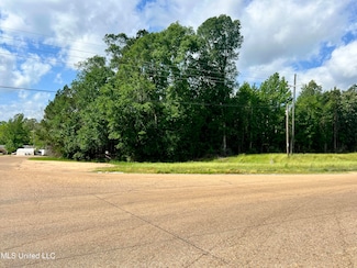 0 Lot 10 Hwy 24 Unit 4095672, Centreville, MS 39631