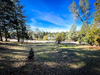 297 Forest Meadows Dr, Murphys, CA 95247