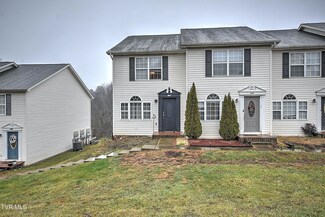 176 Amanda Ln Unit 176, Bristol, TN 37620