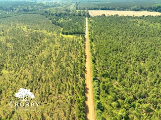 0 Georgia 297, Soperton, GA 30457