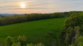 WP0 Rolling Meadows Rd, Livingstn Mnr, NY 12758