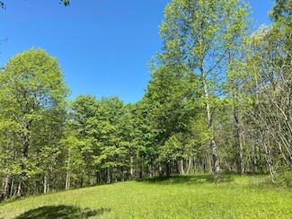 0 Backus Mountain Rd, Meadow Bridge, WV 25976