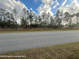 0 Dusky Warbler Rd Unit 2254688, Weeki Wachee, FL 34614