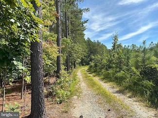 0 Rose Mount Rd, Hustle, VA 22476