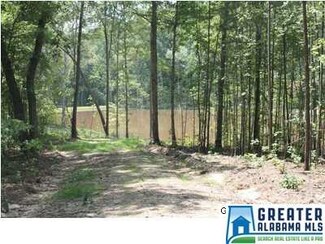 1050 County Road 59 Unit 49.08 AC, Heflin, AL 36264