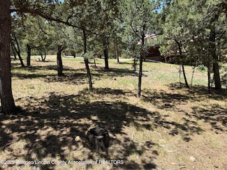 1373 High Mesa Rd, Alto, NM 88312