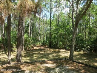 971 Wild Pine Rd, Mims, FL 32754