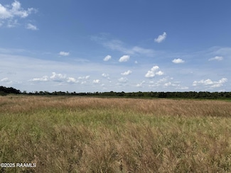 Tbd Whispering Pine Ln, Ville Platte, LA 70586