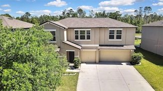 35965 Saddle Palm Way, Zephyrhills, FL 33541