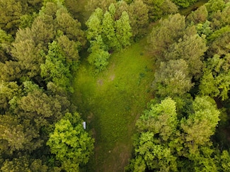 Tbd Cr 4796, Atlanta, TX 75551