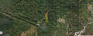 0 Holopaw Groves Rd Unit MFRO6241750, Saint Cloud, FL 34773