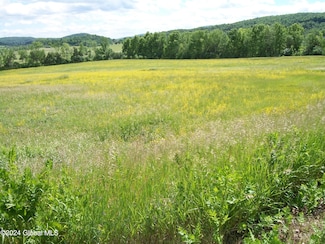L26.3 Beckett Rd, Whitehall, NY 12887