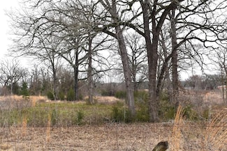 TBD Fm 322, Palestine, TX 75801