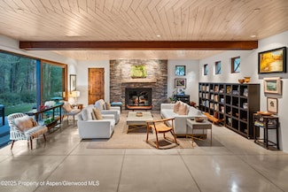 256 Twining Flats Rd, Aspen, CO 81611